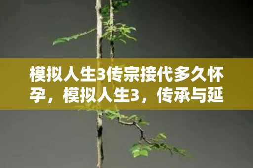 模拟人生3传宗接代多久怀孕，模拟人生3，传承与延续的奇妙旅程