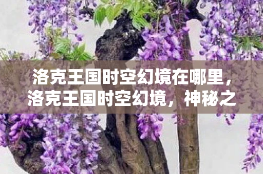 洛克王国时空幻境在哪里，洛克王国时空幻境，神秘之地的探索之旅