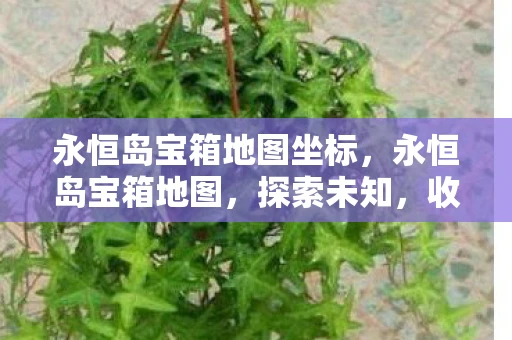 永恒岛宝箱地图坐标，永恒岛宝箱地图，探索未知，收获宝藏