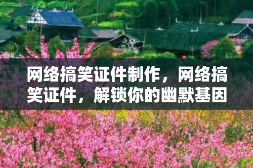 网络搞笑证件制作，网络搞笑证件，解锁你的幽默基因