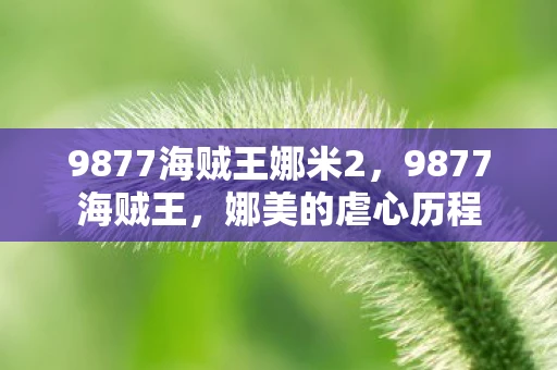 9877海贼王娜米2，9877海贼王，娜美的虐心历程