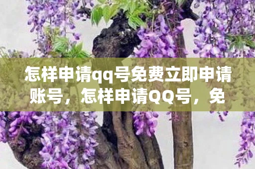 怎样申请qq号免费立即申请账号，怎样申请QQ号，免费立即申请的详细步骤