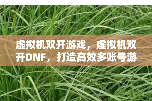虚拟机双开游戏，虚拟机双开DNF，打造高效多账号游戏环境