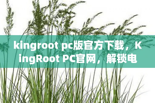 kingroot pc版官方下载，KingRoot PC官网，解锁电脑管理权限的便捷途径