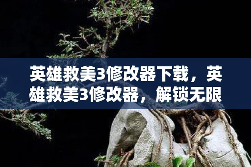 英雄救美3修改器下载，英雄救美3修改器，解锁无限可能的冒险之旅