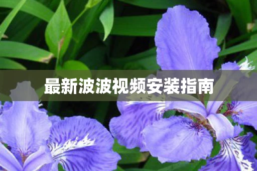 最新波波视频安装指南图片