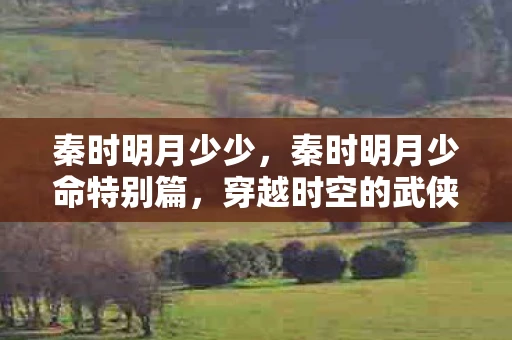 秦时明月少少，秦时明月少命特别篇，穿越时空的武侠传奇