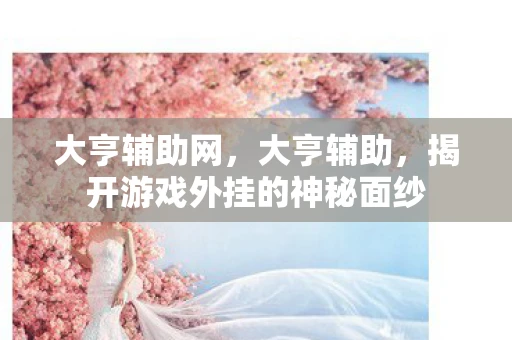 大亨辅助网，大亨辅助，揭开游戏外挂的神秘面纱