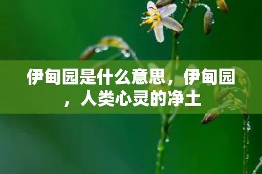 伊甸园是什么意思，伊甸园，人类心灵的净土