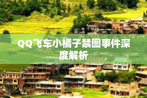 QQ飞车小橘子禁图事件深度解析图片