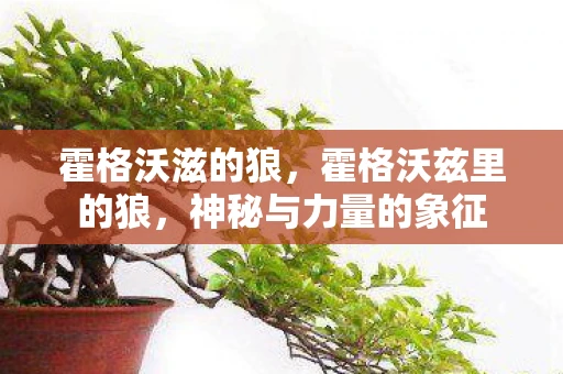 霍格沃滋的狼，霍格沃兹里的狼，神秘与力量的象征