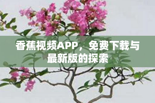 免费下载与最新版的探索图片