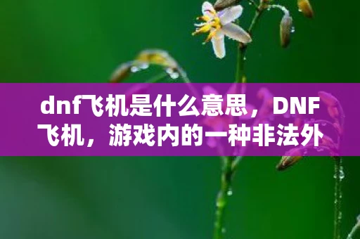 dnf飞机是什么意思,DNF飞机,游戏内的一种非法外挂工具 dnf飞机是什么意思,DNF飞机,游戏内的一种非法外挂工具