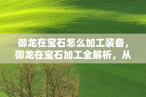 御龙在宝石怎么加工装备，御龙在宝石加工全解析，从采集到镶嵌的奥秘