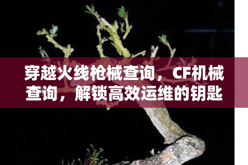 穿越火线枪械查询,CF机械查询,解锁高效运维的钥匙 穿越火线枪械查询,CF机械查询,解锁高效运维的钥匙