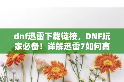 dnf迅雷下载链接,DNF玩家必备!详解迅雷7如何高效下载DNF客户端及游戏更新 dnf迅雷下载链接,DNF玩家必备!详解迅雷7如何高效下载DNF客户端及游戏更新