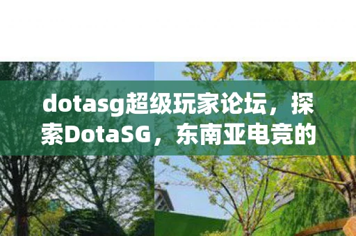 dotasg超级玩家论坛，探索DotaSG，东南亚电竞的新星