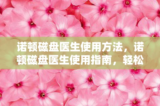 诺顿磁盘医生使用方法，诺顿磁盘医生使用指南，轻松维护电脑健康