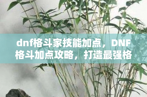 dnf格斗家技能加点，DNF格斗加点攻略，打造最强格斗家