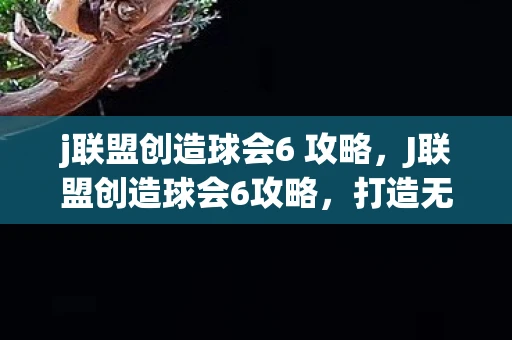 j联盟创造球会6 攻略,J联盟创造球会6攻略,打造无敌球队,称霸绿茵赛场 j联盟创造球会6 攻略,J联盟创造球会6攻略,打造无敌球队,称霸绿茵赛场