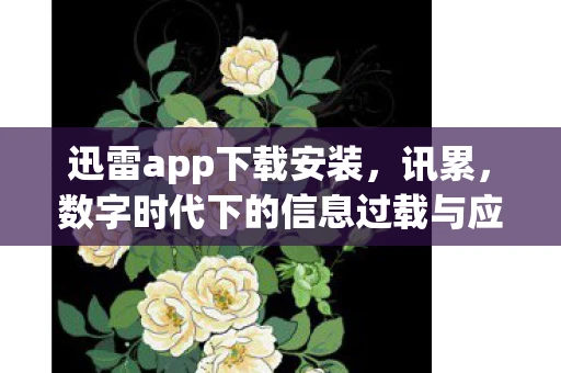 迅雷app下载安装，讯累，数字时代下的信息过载与应对之道