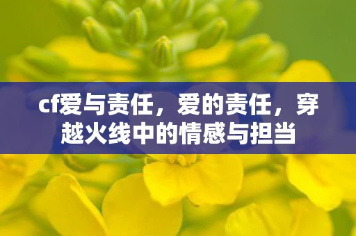 cf爱与责任，爱的责任，穿越火线中的情感与担当