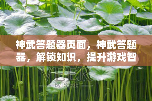 神武答题器页面，神武答题器，解锁知识，提升游戏智慧的利器