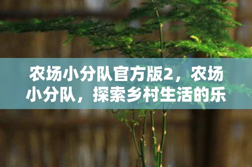农场小分队官方版2,农场小分队,探索乡村生活的乐趣与奥秘 农场小分队官方版2,农场小分队,探索乡村生活的乐趣与奥秘
