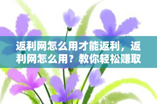 返利网怎么用才能返利，返利网怎么用？教你轻松赚取额外收益