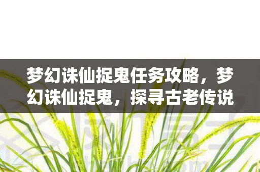 梦幻诛仙捉鬼任务攻略，梦幻诛仙捉鬼，探寻古老传说中的神秘之旅