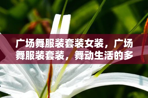 广场舞服装套装女装，广场舞服装套装，舞动生活的多彩篇章