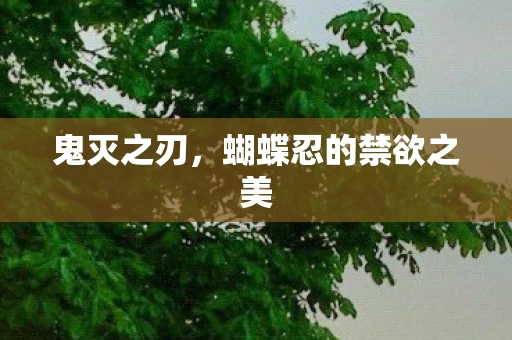 蝴蝶忍的禁欲之美图片