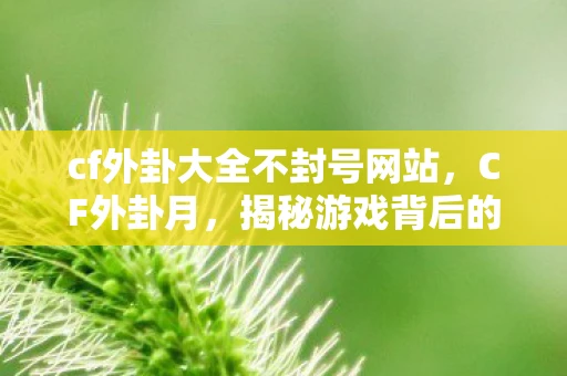 cf外卦大全不封号网站，CF外卦月，揭秘游戏背后的神秘力量