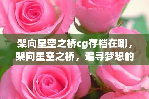 架向星空之桥cg存档在哪，架向星空之桥，追寻梦想的CG存档