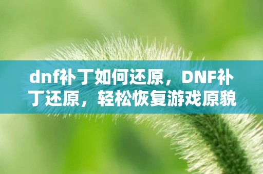 dnf补丁如何还原，DNF补丁还原，轻松恢复游戏原貌