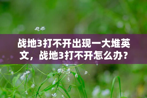 战地3打不开出现一大堆英文，战地3打不开怎么办？
