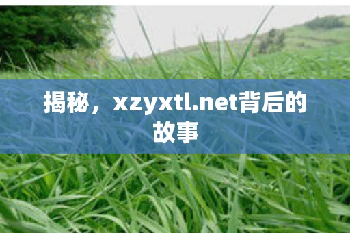 揭秘,xzyxtl.net背后的故事 揭秘,xzyxtl.net背后的故事