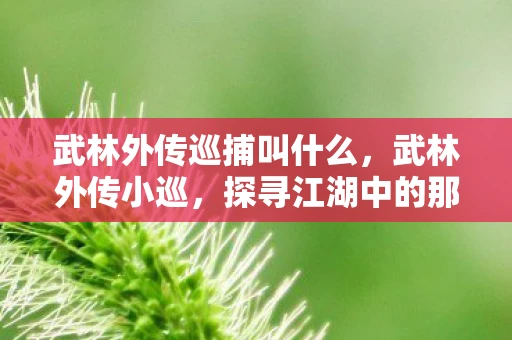 武林外传巡捕叫什么,武林外传小巡,探寻江湖中的那些传奇故事 武林外传巡捕叫什么,武林外传小巡,探寻江湖中的那些传奇故事