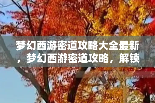 梦幻西游密道攻略大全最新，梦幻西游密道攻略，解锁隐藏任务，获取丰厚奖励