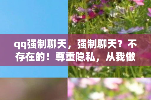 qq强制聊天,强制聊天?不存在的!尊重隐私,从我做起 qq强制聊天,强制聊天?不存在的!尊重隐私,从我做起