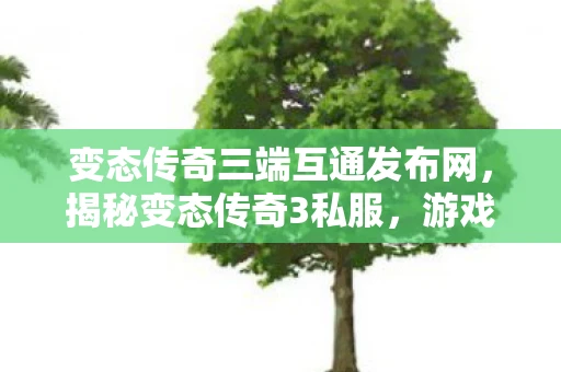 变态传奇三端互通发布网，揭秘变态传奇3私服，游戏背后的灰色产业链