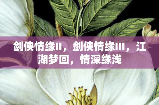 剑侠情缘II，剑侠情缘III，江湖梦回，情深缘浅
