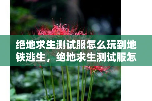 绝地求生测试服怎么玩到地铁逃生,绝地求生测试服怎么玩?全面指南助你轻松上手 绝地求生测试服怎么玩到地铁逃生,绝地求生测试服怎么玩?全面指南助你轻松上手