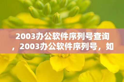 2003办公软件序列号查询，2003办公软件序列号，如何获取和使用