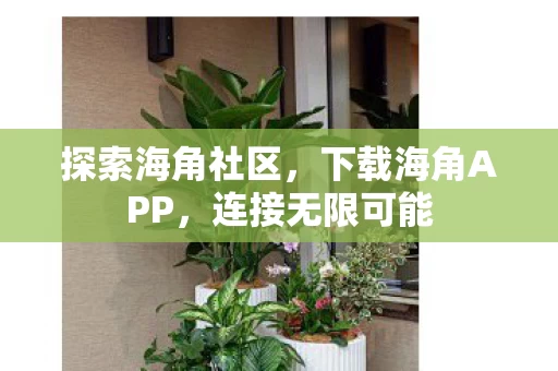 下载海角APP图片