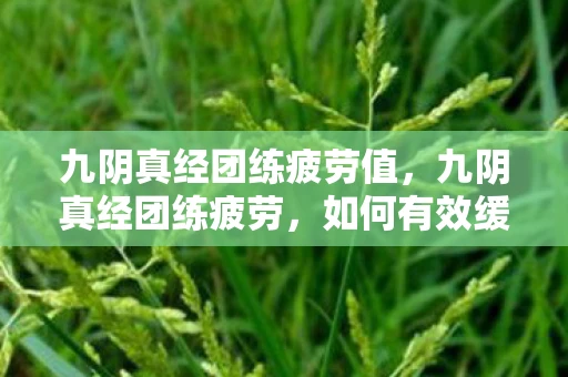 九阴真经团练疲劳值,九阴真经团练疲劳,如何有效缓解与避免 九阴真经团练疲劳值,九阴真经团练疲劳,如何有效缓解与避免