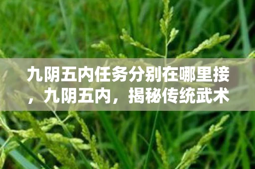 九阴五内任务分别在哪里接，九阴五内，揭秘传统武术中的内功心法