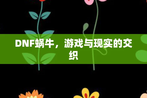 DNF蜗牛，游戏与现实的交织