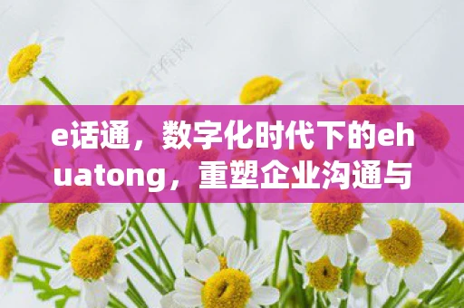 e话通，数字化时代下的ehuatong，重塑企业沟通与服务的新模式