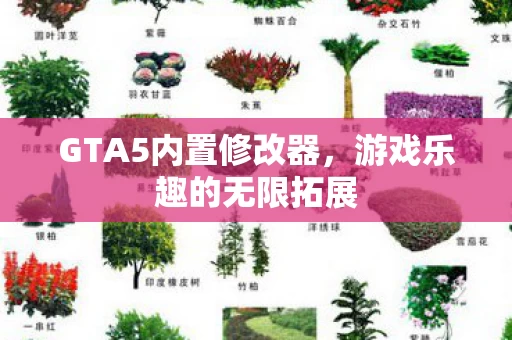 GTA5内置修改器图片